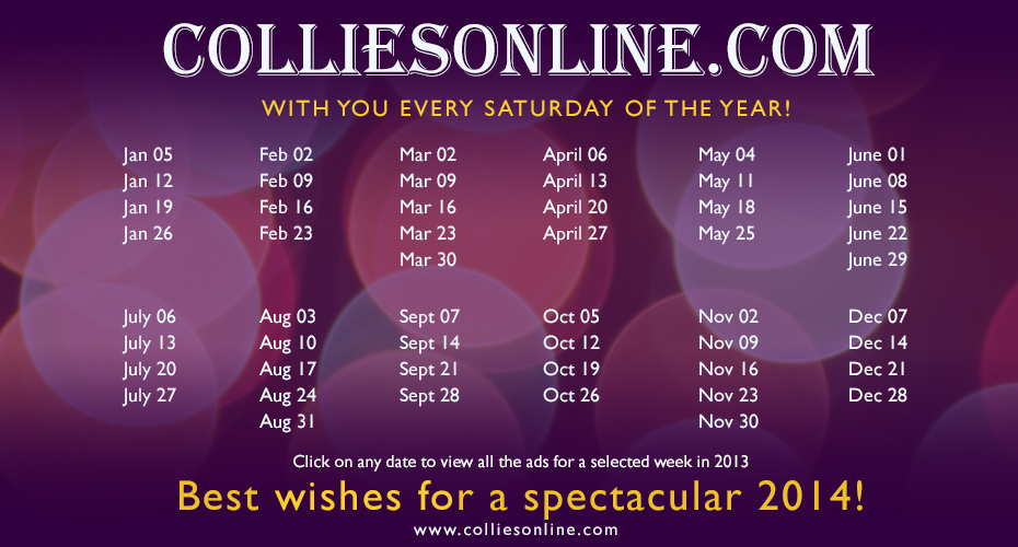Colliesonline.com --With you every Saturday of the year!