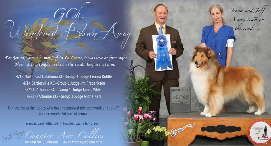 Country-Aire Collies -- GCH Windcrest Blown Away