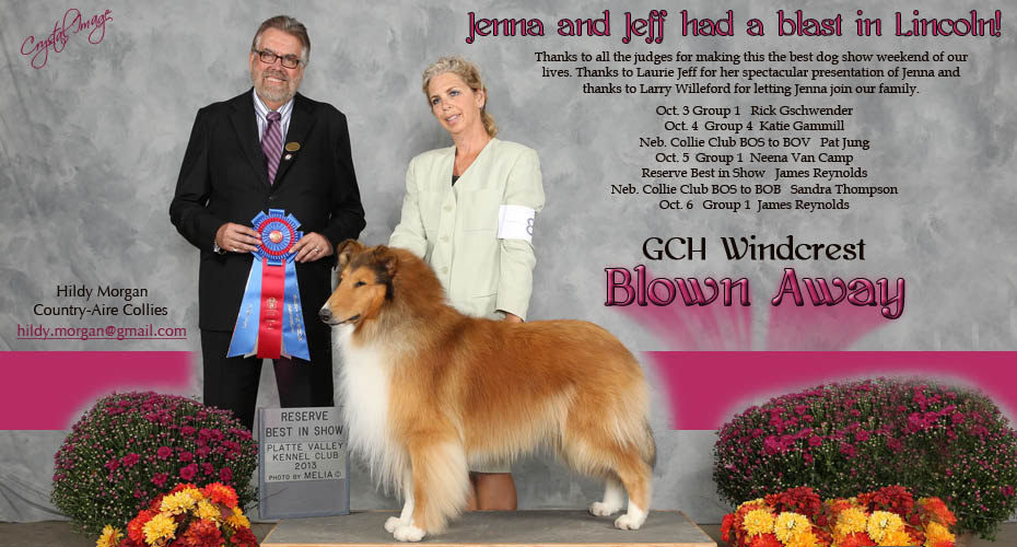 Country-Aire Collies -- GCH Windcrest Blown Away