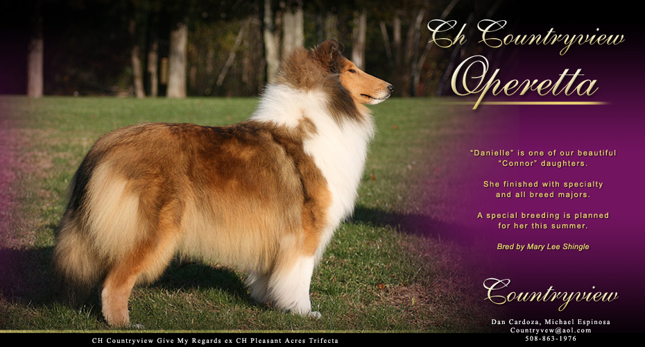 Countryview Collies -- CH Countryview Operetta