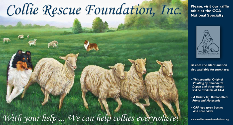 Collie Rescue Foundation, Inc. -- Helping collies everywhere!