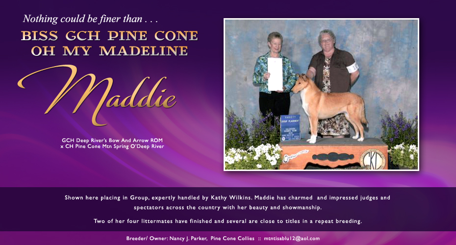 Pine Cone Collies -- GCH Pine Cone Oh My Madeline
