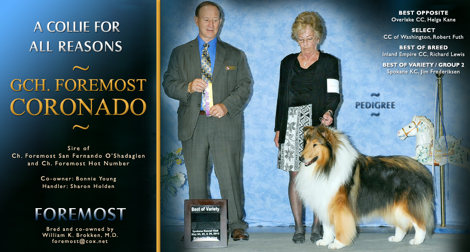 Foremost Collies -- GCH Foremost Coronado