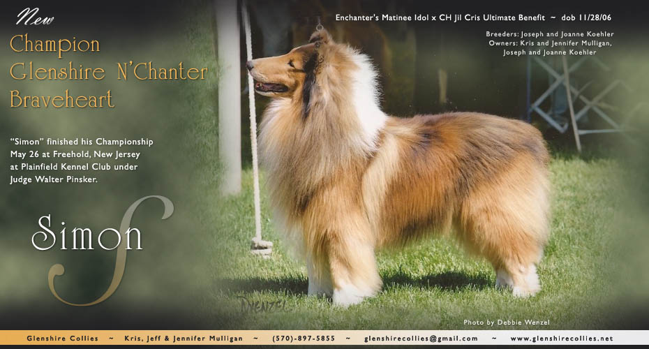 Glenshire Collies -- CH Glenshire N'Chanter Braveheart