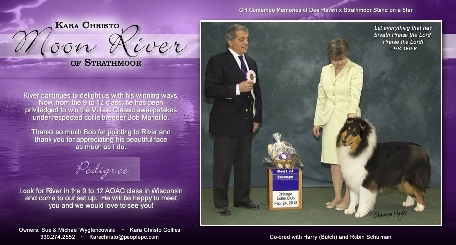 Kara Christo Collies -- Kara Christo Moon River Of Strathmoor