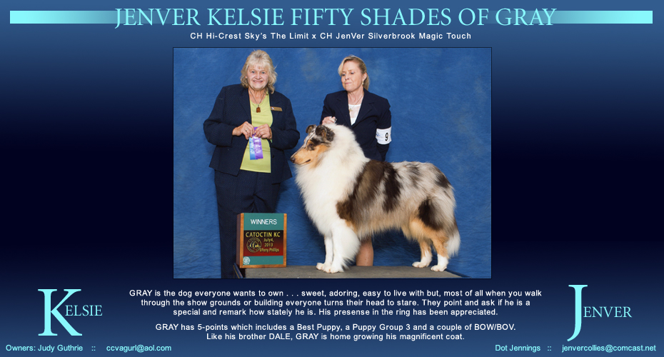 Kelsie Collies / JenVer Collies -- JenVer Keslie Fifty Shades Of Gray