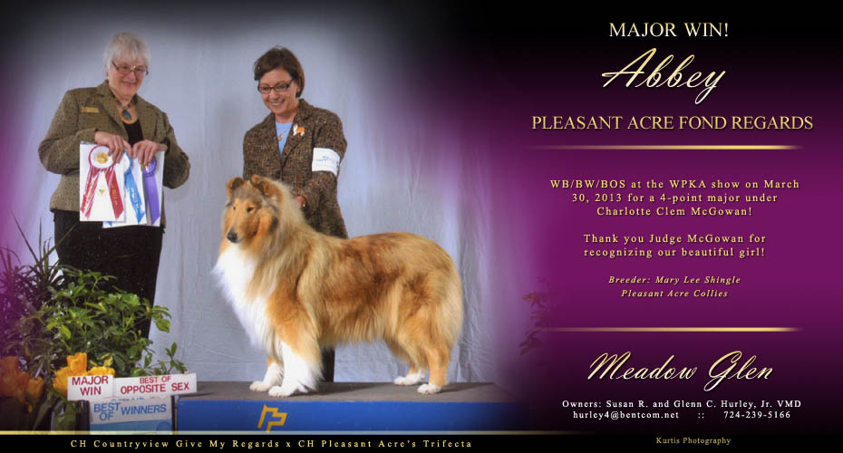 Meadow Glen Collies -- Pleasant Acre Fond Regards