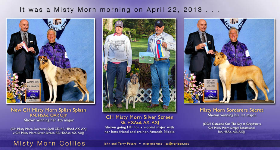 Misty Morn Collies -- CH Misty Morn Splish Splash RN, HSAd, OAP, OJP, CH Misty Morn Silver Screen RE, HXAsd, AX, AXJ and Misty Morn Sorcerers Secret
