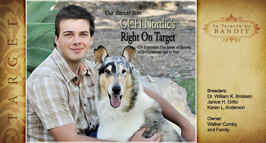 Nordic Collies -- GCH Nordic's Right On Target