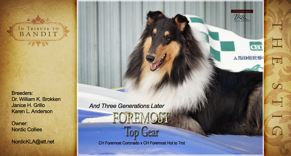 Nordic Collies -- Foremost Top Gear