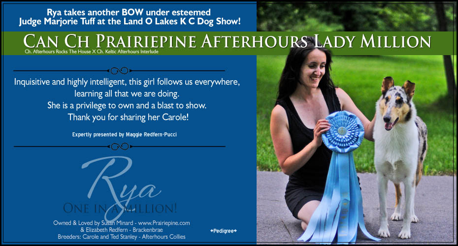 Prairiepine Collies -- CAN CH Prairiepine Afterhours Lady Million