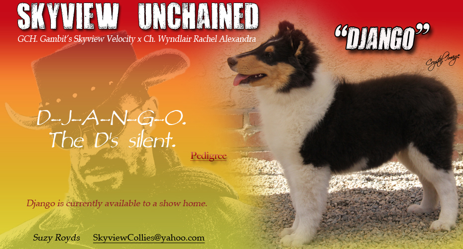 Skyview Collies -- Skyview Unchained