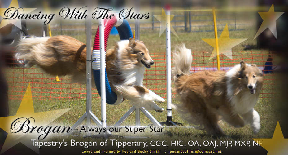 Peg and Becky Smith -- Tapestry's Brogan of Tipperary, CGC, HIC, OA, OAJ, MJP, MXP, NF
