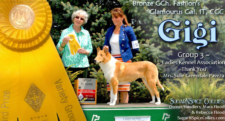 SugarNSpice Collies -- GCH Fashion's Glamourus Gal, IT, CGC