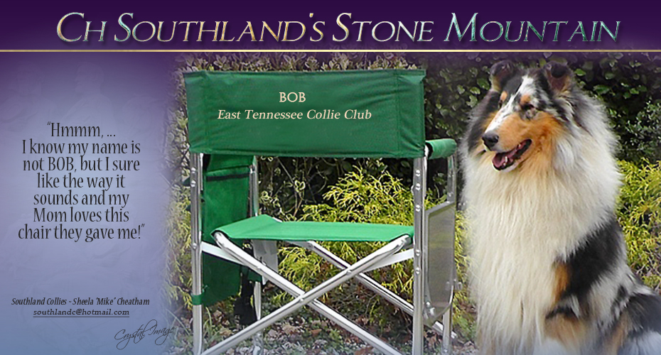 Southland Collies -- CH Southland's Stone Mountain