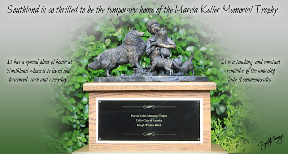 Southland Collies -- Marcia Keller Memorial Trophy