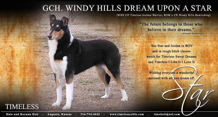 Timeless Collies -- GCH Windy Hill Dream Upon A Star
