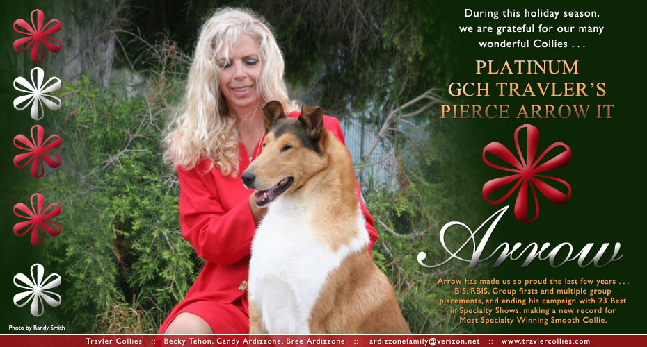 Travler Collies -- Platinum GCH Travler's Pierce Arrow