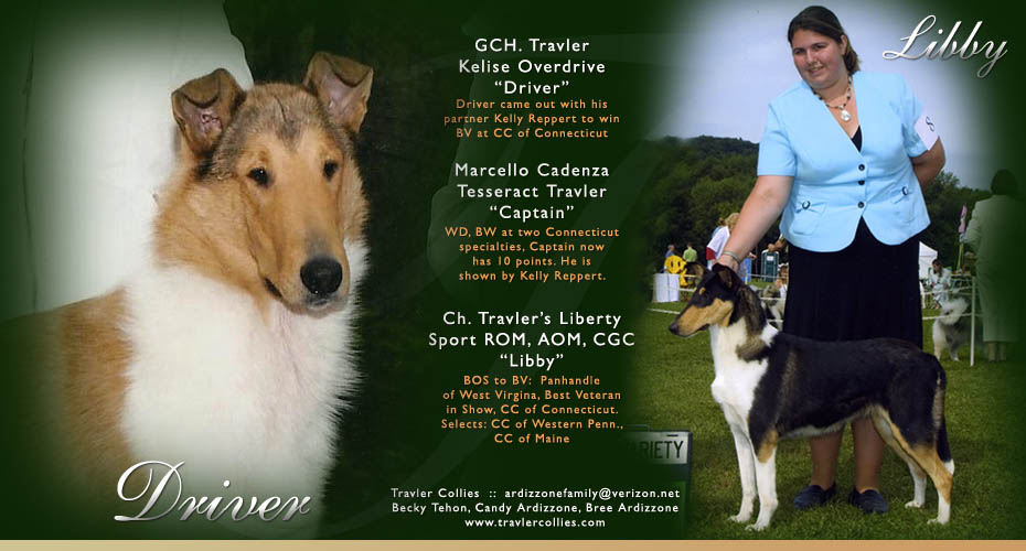 Travler Collies -- GCH Travler Kelise Overdrive and CH Travler's Liberty Sport