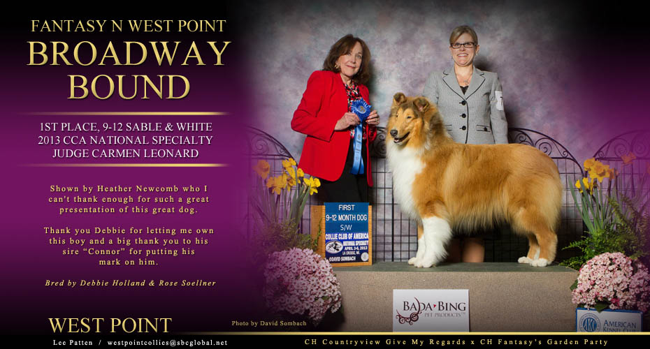 West Point Collies -- Fantasy N West Point Broadway Bound