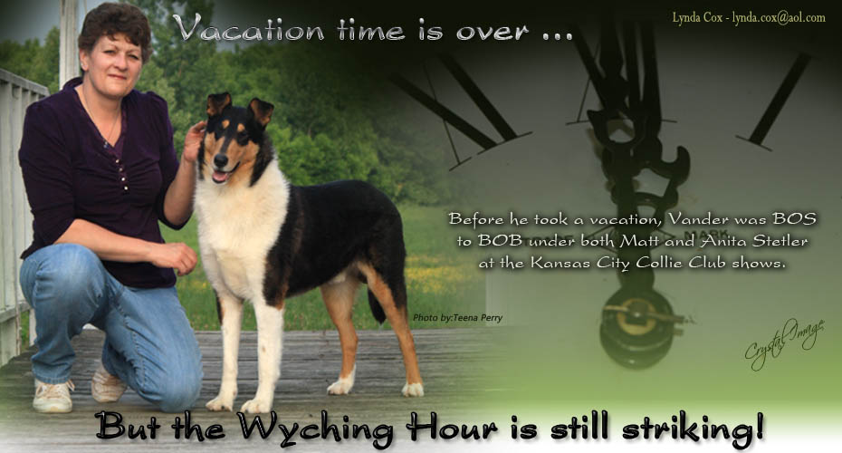 Collies Of Wych -- GCH Bandor's The Wyching Hour