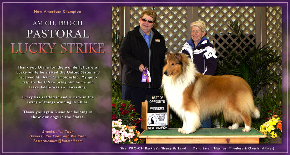 Yin Yuan and Bin Yuan -- AM CH PRC-CH Pastoral Lucky Strike