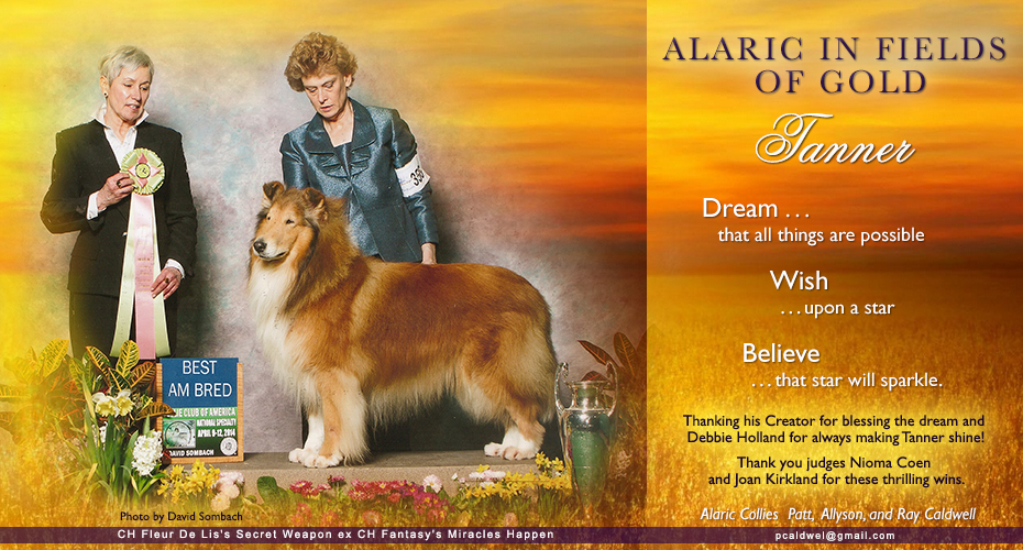 Alaric Collies -- Alaric In Fields Of Gold