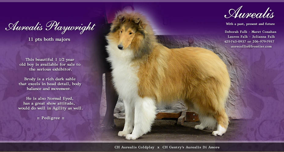Aurealis Collies -- Aurealis Playwright