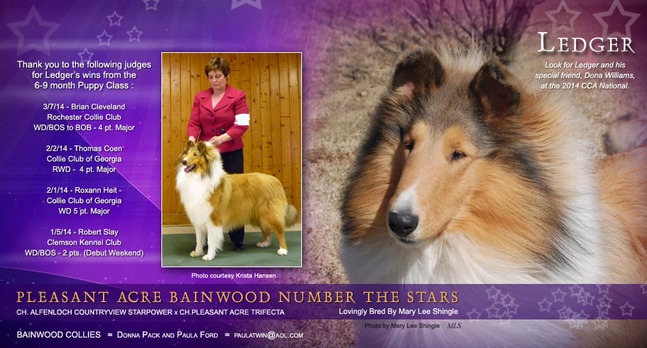 Bainwood Collies -- Pleasant Acre Bainwood Number The Stars