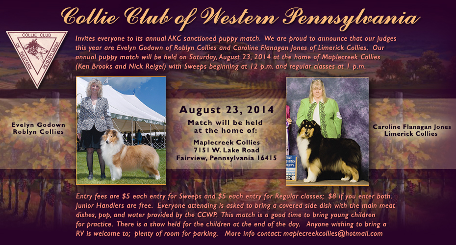 Collie Club of Western Pennsylvania -- 2014 AKC Sanctioned Puppy Match