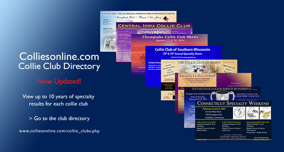 colliesonline.com -- Collie Club Directory