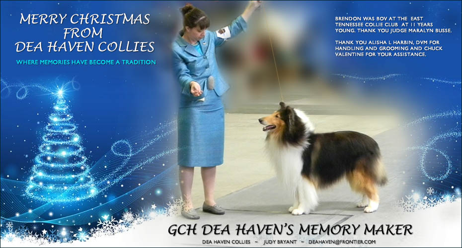 Dea Haven Collies -- Bronze GCH Dea Haven's Memory Maker