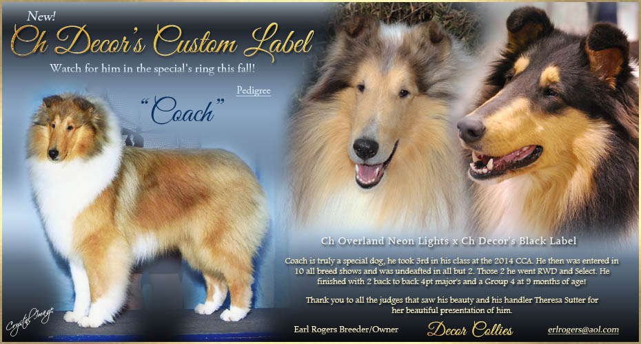 Decor Collies -- CH Decor's Custom Label