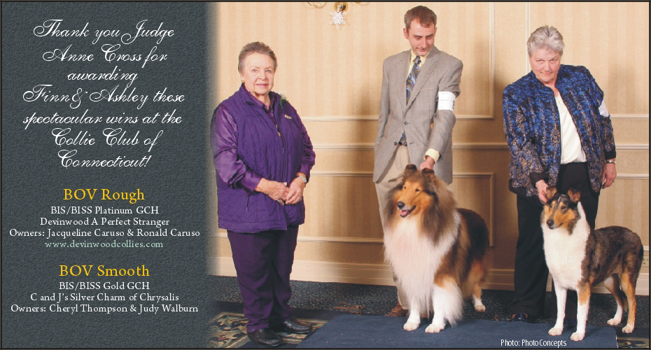 Platinum GCH Devinwood A Perfect Stranger and Gold GCH C and J's Silver Charm Of Chrysalis