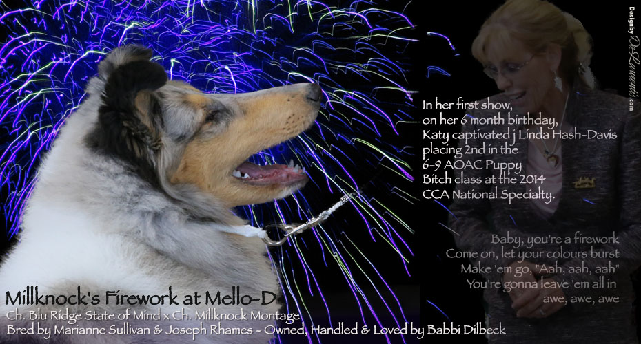 Babbi Dilbeck -- Millknock's Firework At Mello-D