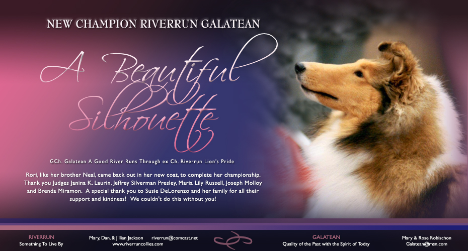 Riverrun Collies / Galatean Collies -- CH Riverrun Galatean A Beautiful Silhouette
