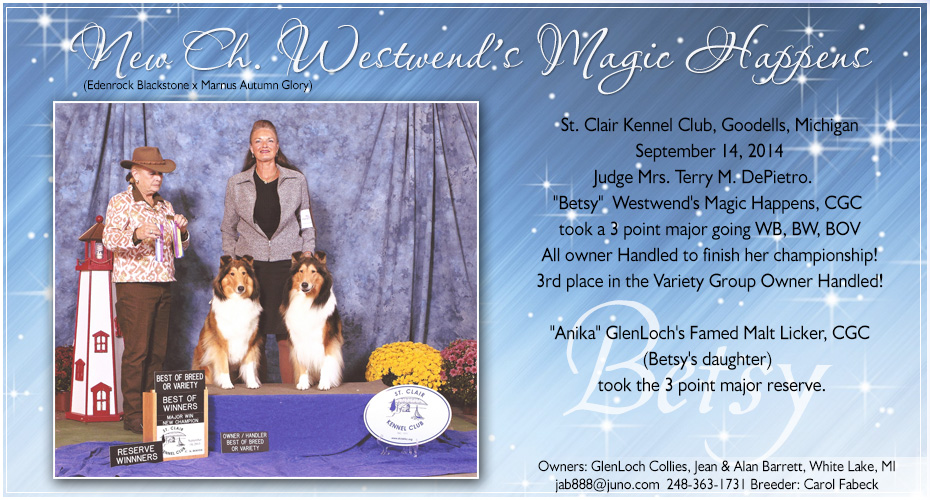Glenloch Collies - CH Westwend's Magic Happens