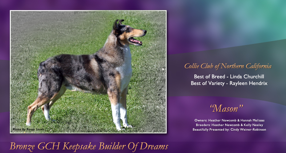 Keepsake Collies -- Bronze GCH Keepsake Builder Of Dreams