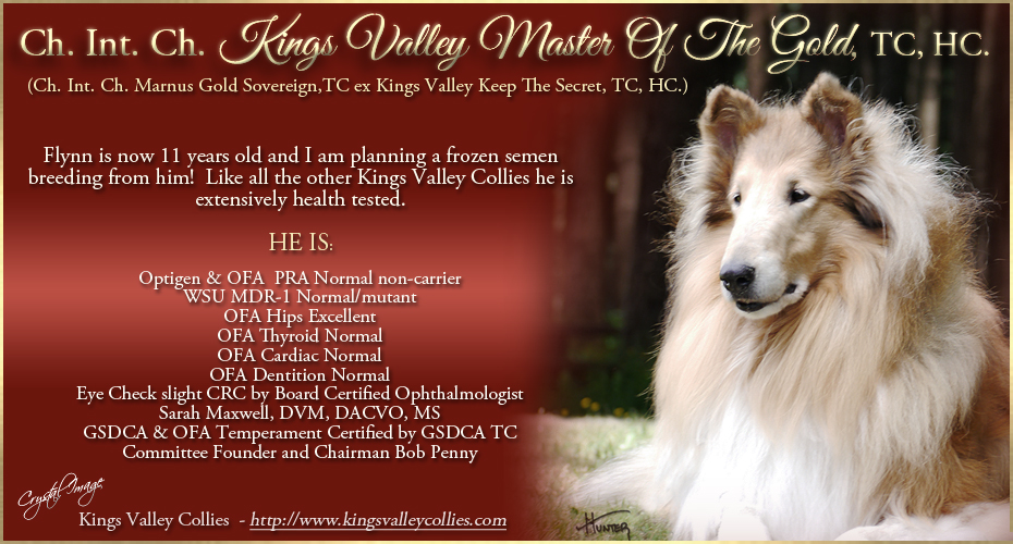 Kings Valley Collies -- CH / INT CH Kings Valley Master Of The Gold TC HC