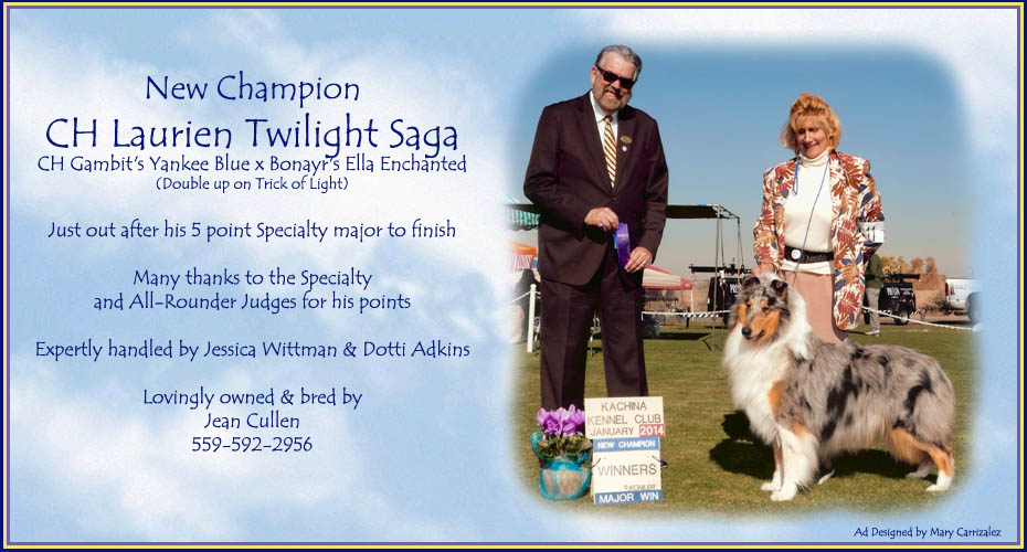 Laurien Collies -- CH Laurien Twilight Saga