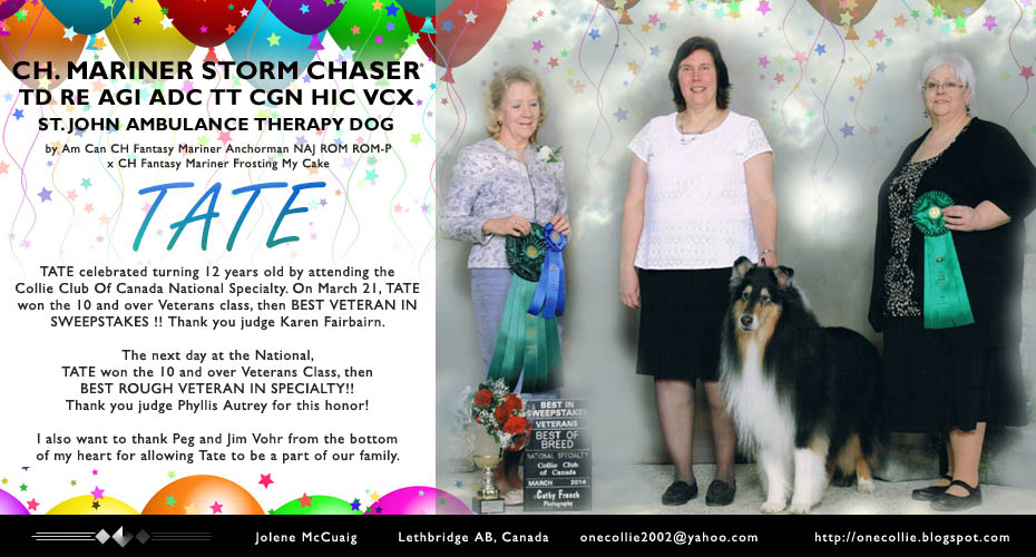 Jolene McCuaig -- CH Mariner Storm Chaser TD RE AGI ADC TT CGN HIC VCX, St John Ambulance Therapy Dog