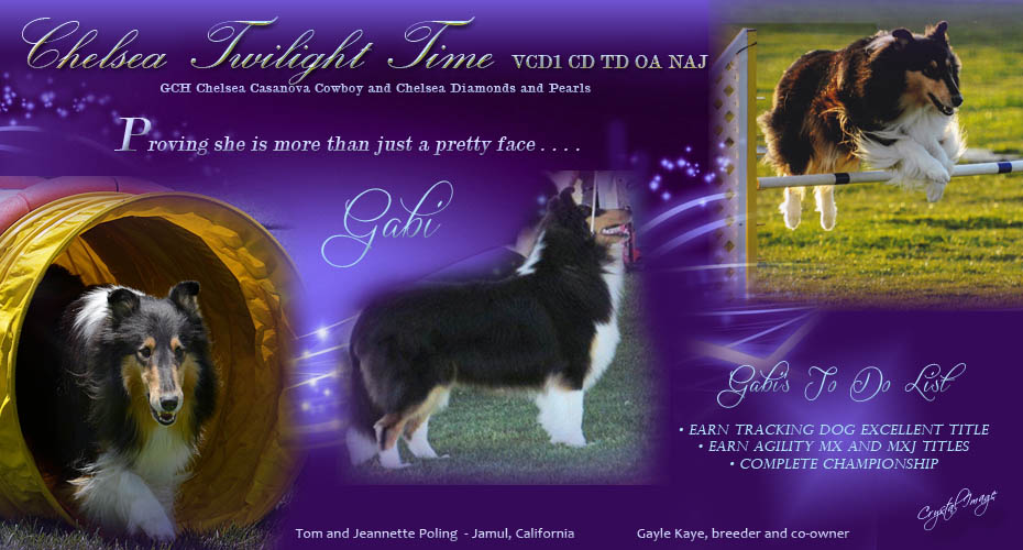 Tom and Jeannette Poling -- Chelsea Twilight Time VCD1 CD TD OA NAJ