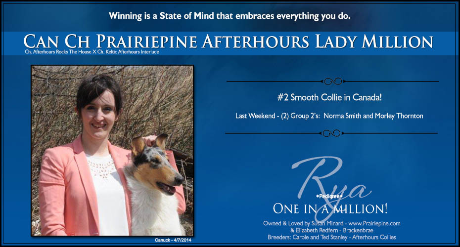 Prairiepine Collies -- CAN CH Prairiepine Afterhours Lady Million