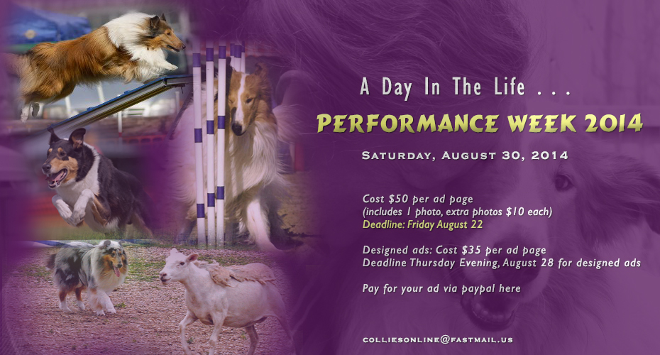 Performance Week 2014 -- A Day In The Life . . .