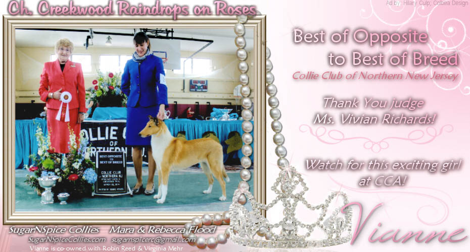 SugarNSpice Collies -- CH Creekwood Raindrop On Roses