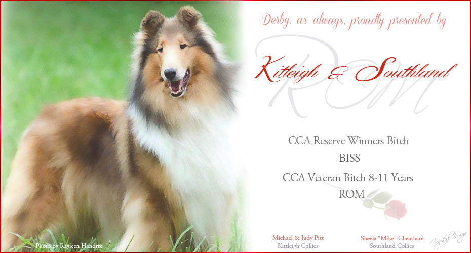 Kitleigh Collies / Southland Collies -- CH Southland's Derby Day HT ROM 