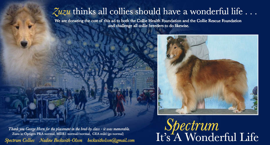 Spectrum Collies -- Spectrum It's A Wonderful Life