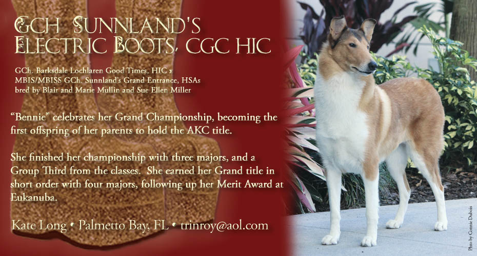 Sunnland Collies -- GCH Sunnland's Electric Boots, CGC HIC