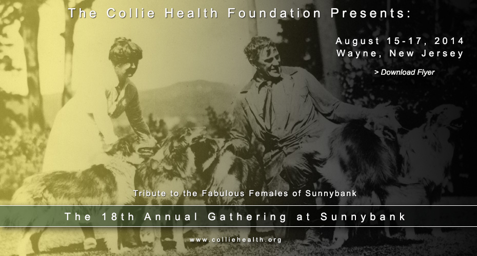 The Collie Health Foundation -- 18th Annual Gathering at Sunnybank