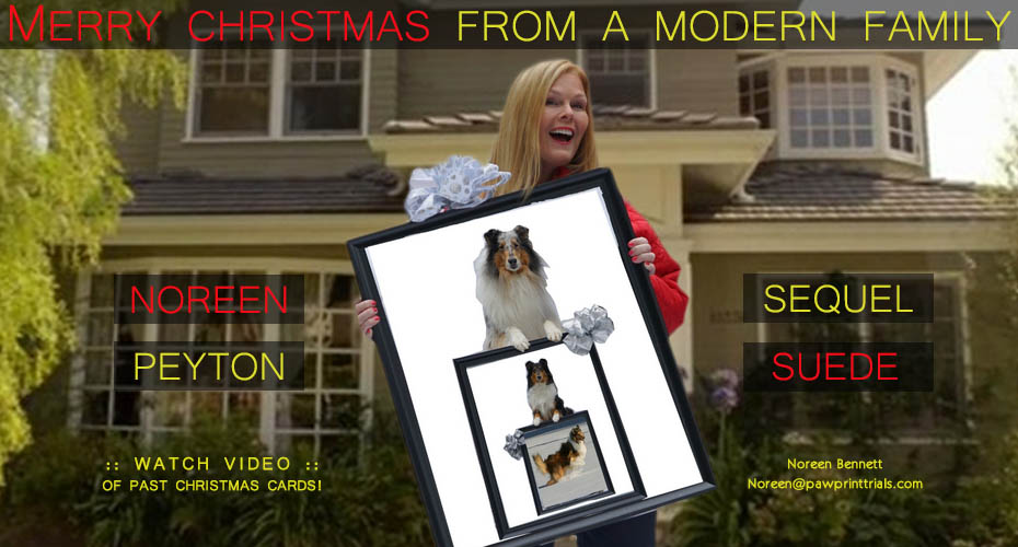 Noreen Bennett -- Merry Christmas From A Modern Family